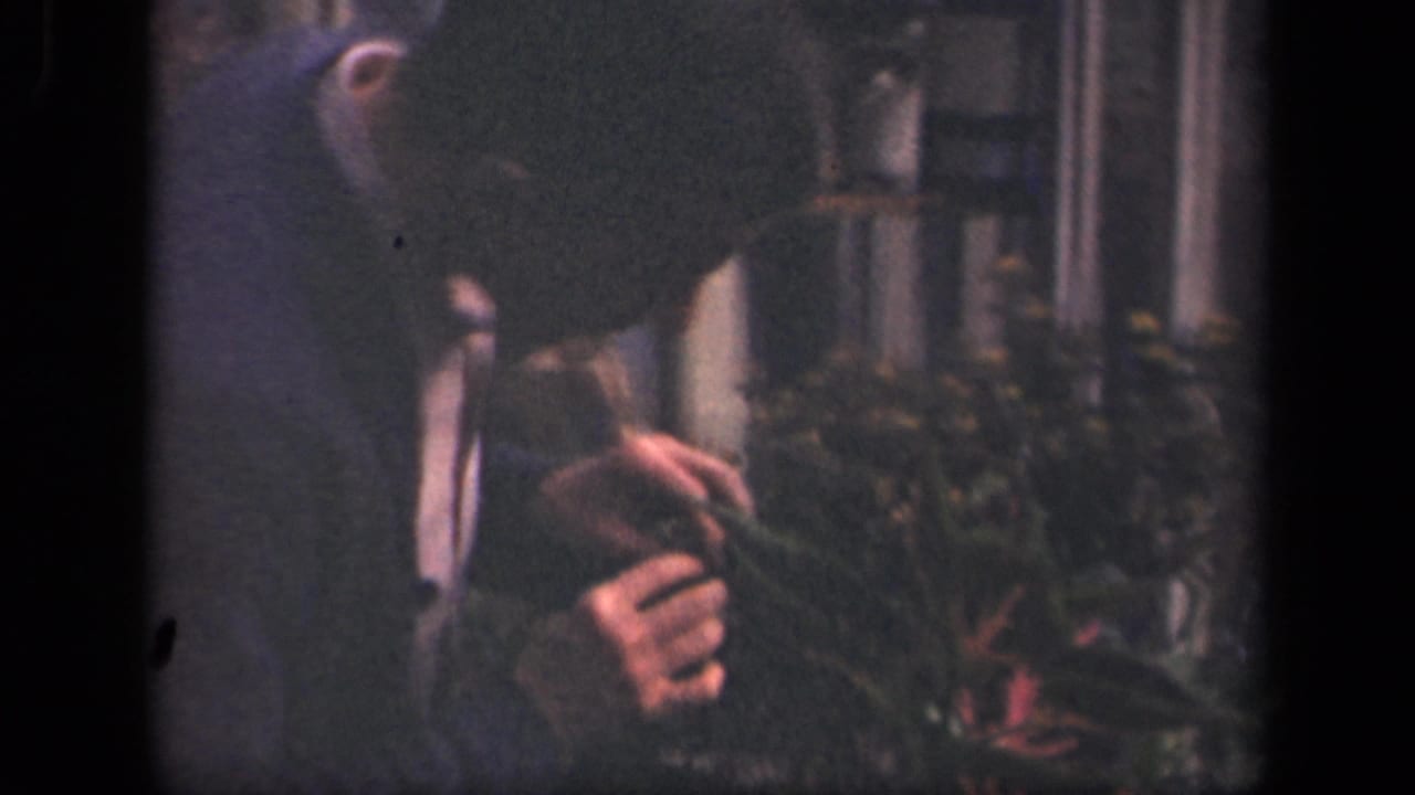 Young man in a suit leans over a garden plant near a house window.
