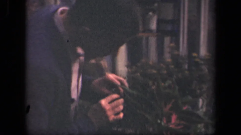 In 1941 New York home-movie footage, a young man in formal clothing bends toward red and green foliage in a residential garden.