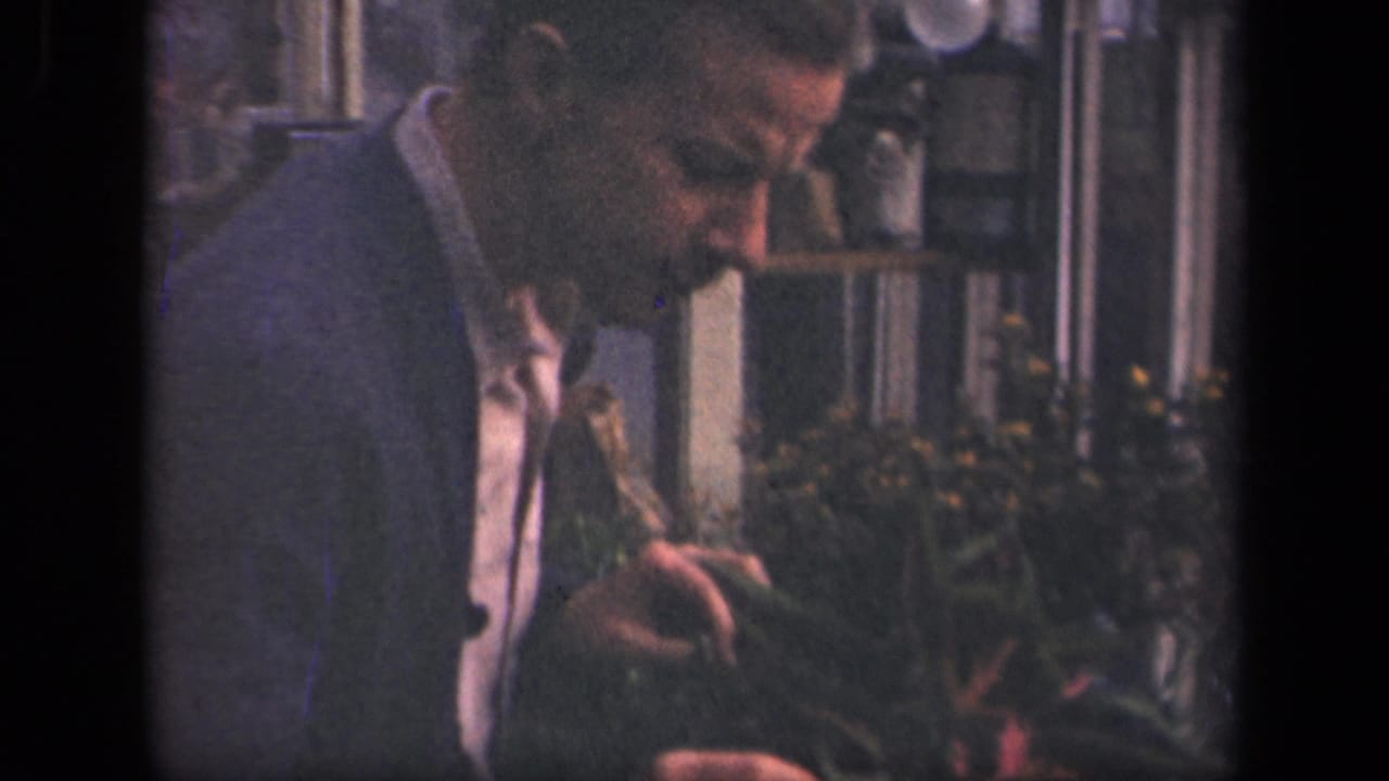 Young man stands close to variegated foliage in a garden setting.