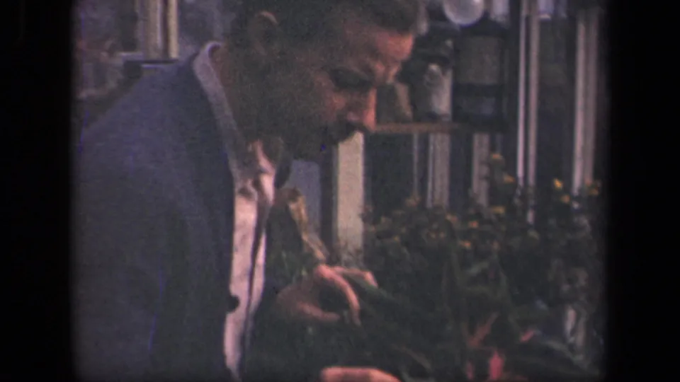 The young man remains close to the red and green plant, partially turned in profile within a New York residential garden scene.