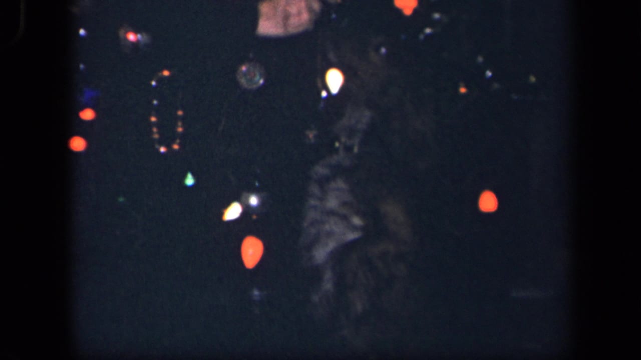 Dog partially visible in darkness near glowing Christmas lights.