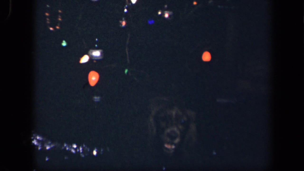 The dog's face is briefly visible in low light beside Christmas lights in this 1942 Sebring, Ohio home-movie frame.