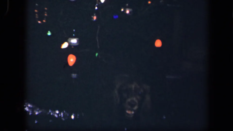 The dog's face is briefly visible in low light beside Christmas lights in this 1942 Sebring, Ohio home-movie frame.