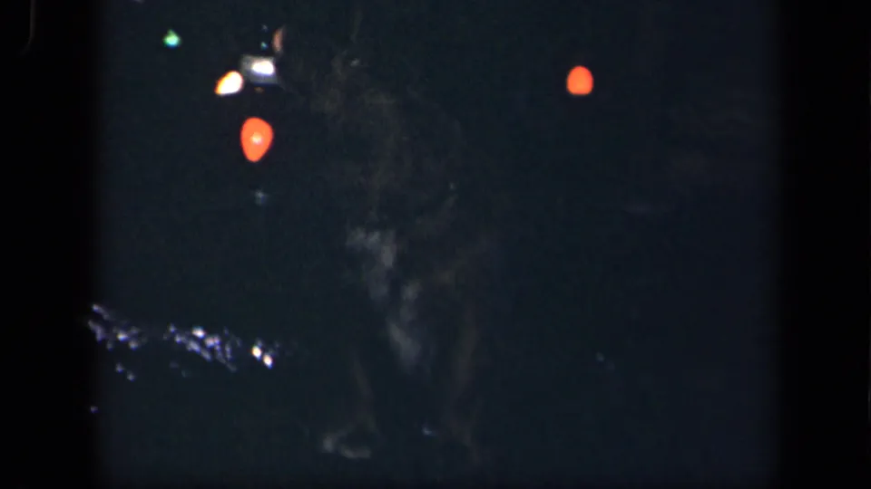 A small dog stands in shadow beneath glowing holiday lights, consistent with the supplied 1942 Sebring, Ohio home-movie metadata.