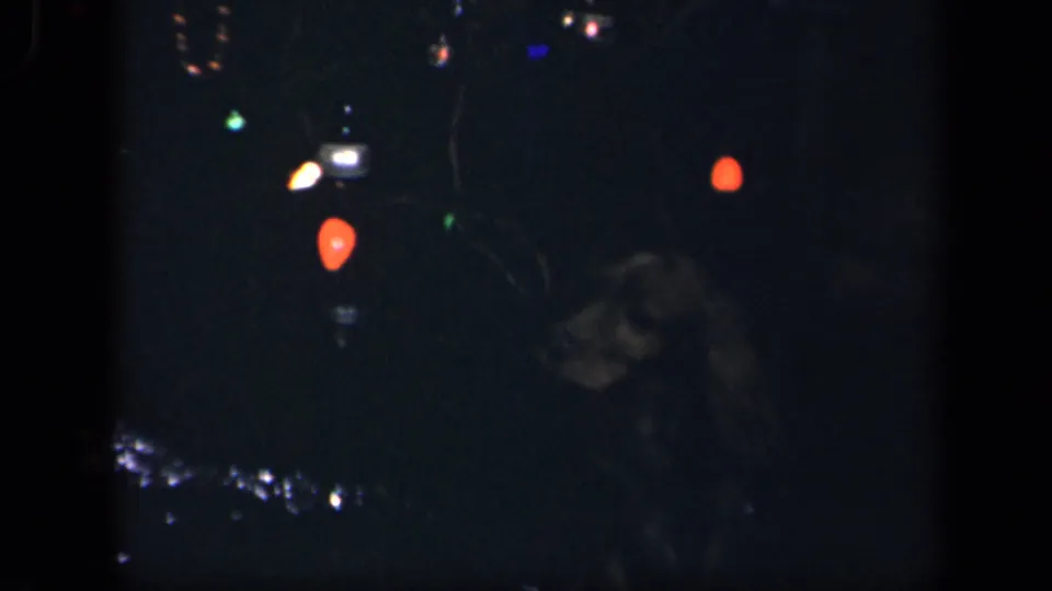 Near the end of the clip, the dog is low in the frame beside red Christmas lights in the dark 8mm holiday scene.