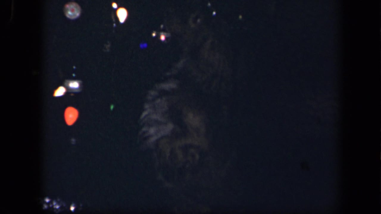 1942 Sebring, Ohio home-movie frame showing a dark uniformed adult holding a black dog beside scattered glowing lights.