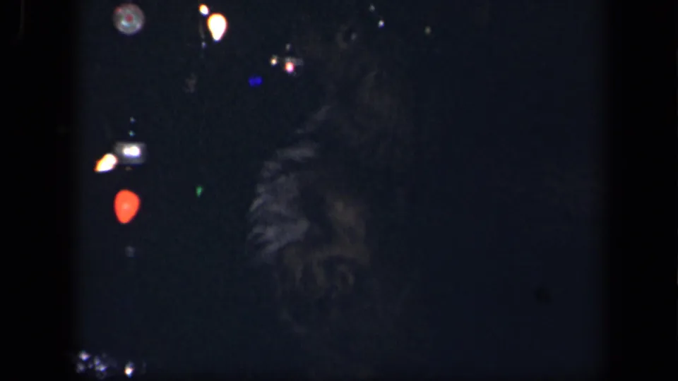 1942 Sebring, Ohio home-movie frame showing a dark uniformed adult holding a black dog beside scattered glowing lights.