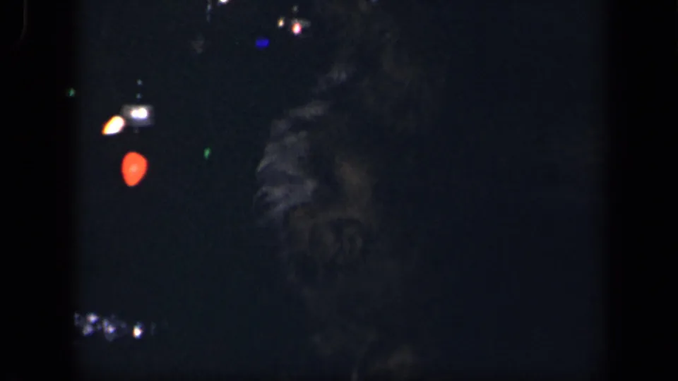 1942 Sebring, Ohio footage frame with the held black dog and uniformed adult barely visible in low light near small decorations.