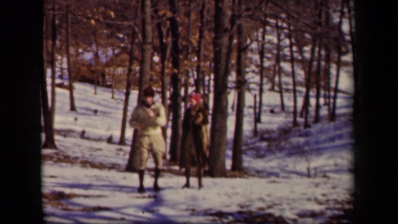 Two adults in winter coats appear in a snowy wooded area in Sebring, Ohio, according to clip metadata.