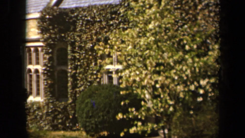 1943 Baltimore residential exterior showing ivy, arched windows, leafy trees, and manicured bushes in soft 8mm color.
