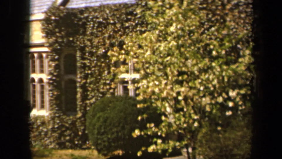1943 Baltimore home-movie frame of a residential facade partly hidden by ivy, spring foliage, and neatly shaped shrubs.