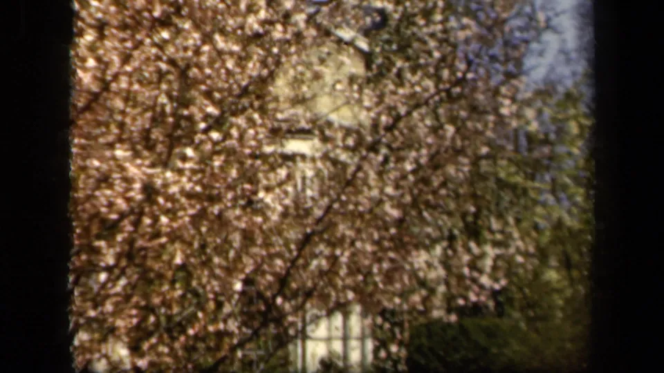 Warm 1940s 8mm frame of autumn foliage and a partially hidden building, linked by metadata to the National Cathedral stop.