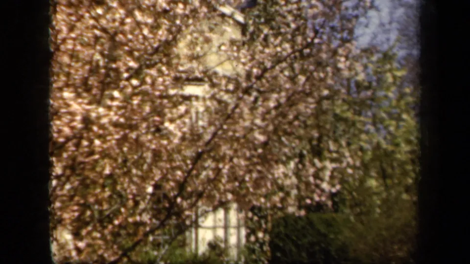 Home-movie frame of fall-colored tree branches in front of a pale building, with dark film-frame edges visible.