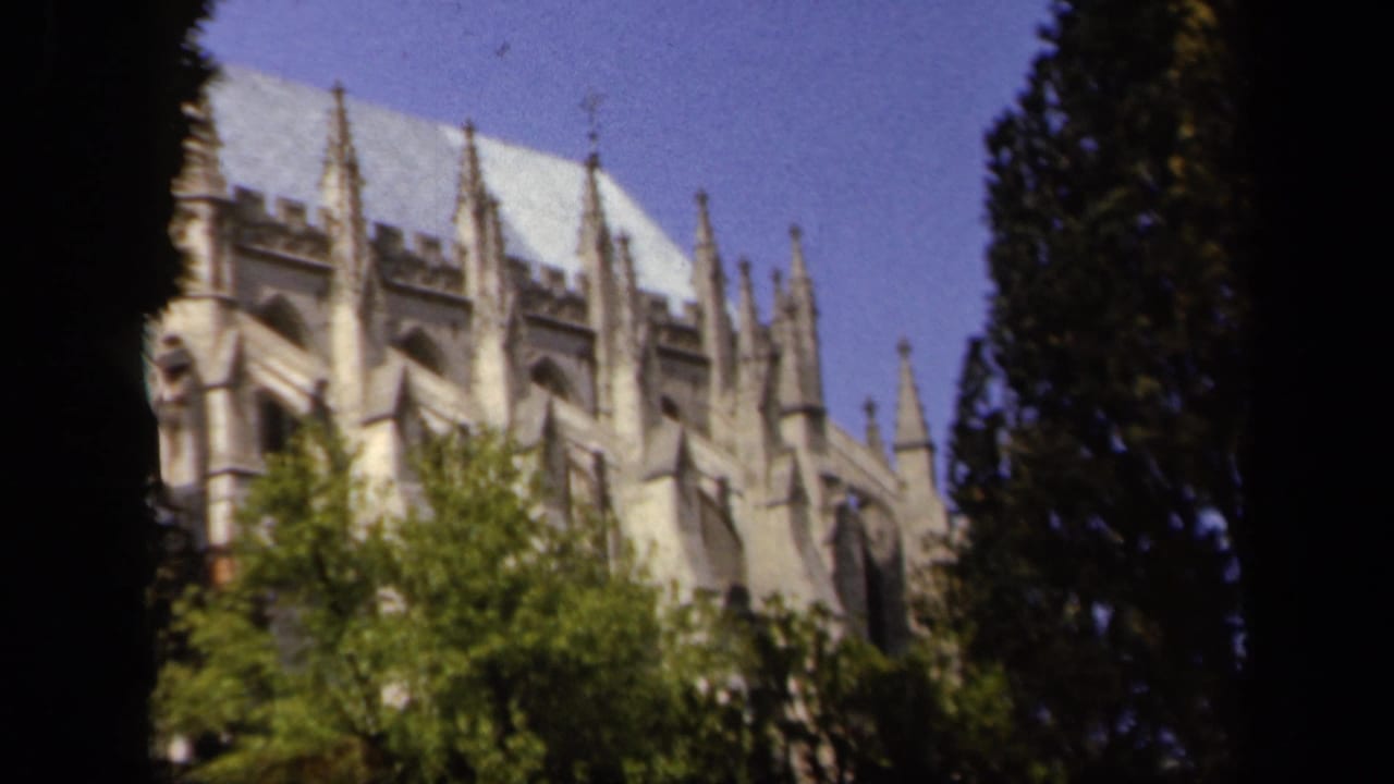 Gothic cathedral roofline and spires seen through dark tree trunks and foliage.