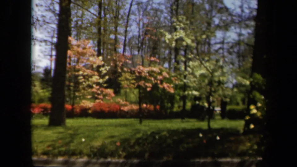 Baltimore 8mm frame shifts from the landmark to a sunlit park scene with grass, trees, and flowering foliage.