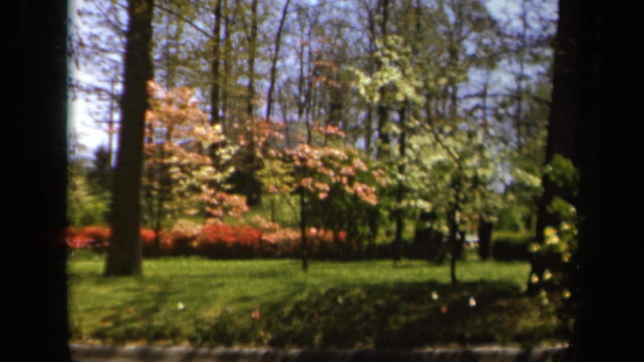 1943 Baltimore home-movie frame showing a sunlit garden with tree trunks, lawn, blossoms, and dark framing at the edges.