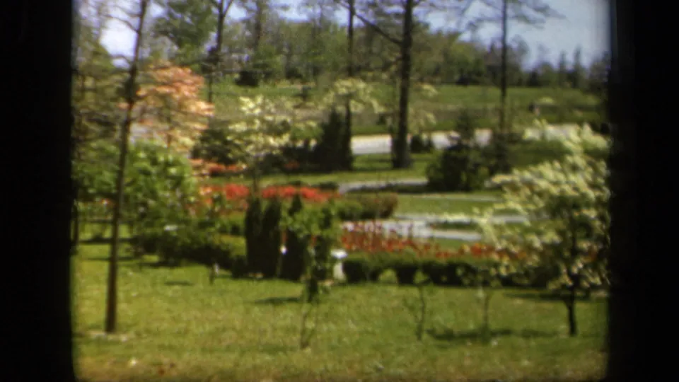 Wider 1943 Baltimore garden view showing manicured grass, small ornamental trees, flower beds, and a pale path or drive beyond.