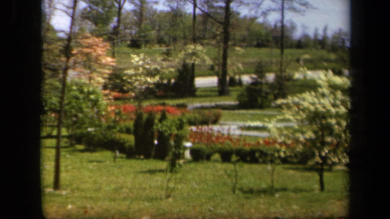 1943 Baltimore-area 8mm frame showing a bright garden with lawn, red and white flowers, shrubs, paths, and tall trees.