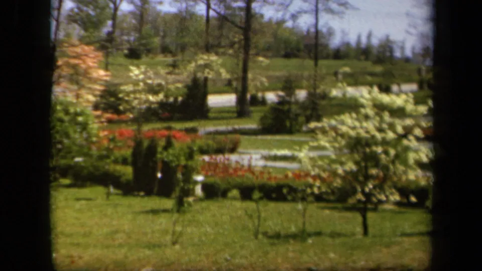 1943 Baltimore-area home-movie frame showing a landscaped garden with lawn, small trees, red flower beds, and pale walking paths.
