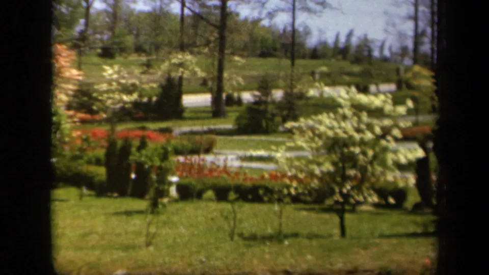 1943 Baltimore-area 8mm still of a manicured garden with mown grass, white shrubs, red blooms, paths, and tall trees.