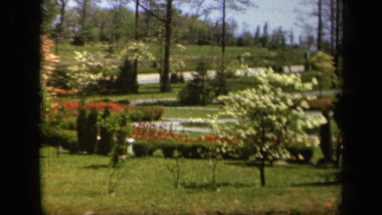 1943 Baltimore home-movie frame showing a sunlit garden through a dark window frame, with lawn, red flower beds, white blossoms, trees, and a road behind.