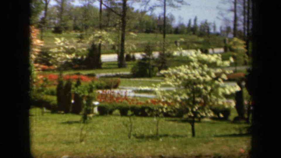 1943 Baltimore home-movie frame showing a sunlit garden through a dark window frame, with lawn, red flower beds, white blossoms, trees, and a road behind.