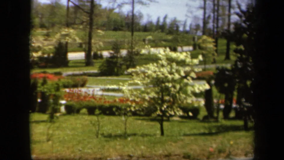 Soft 1943 Baltimore home-movie frame of a garden seen past dark window edges, showing red flowers, white blossoms, lawn, trees, and distant greenery.