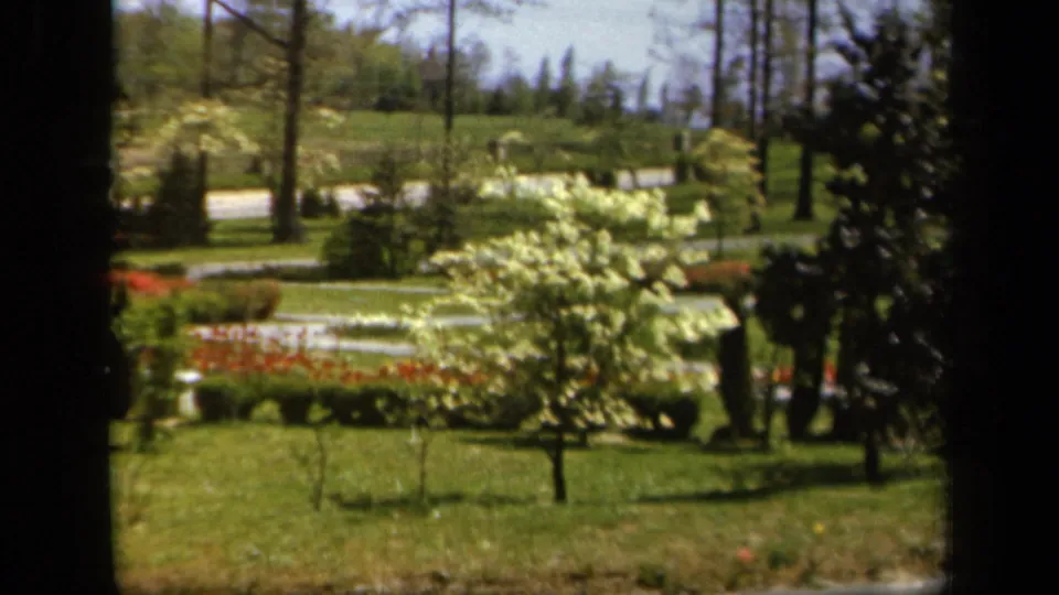 1943 Baltimore 8mm frame showing a white-blossomed tree and red flower bed across a green lawn, with tall trees and dark window framing at the sides.