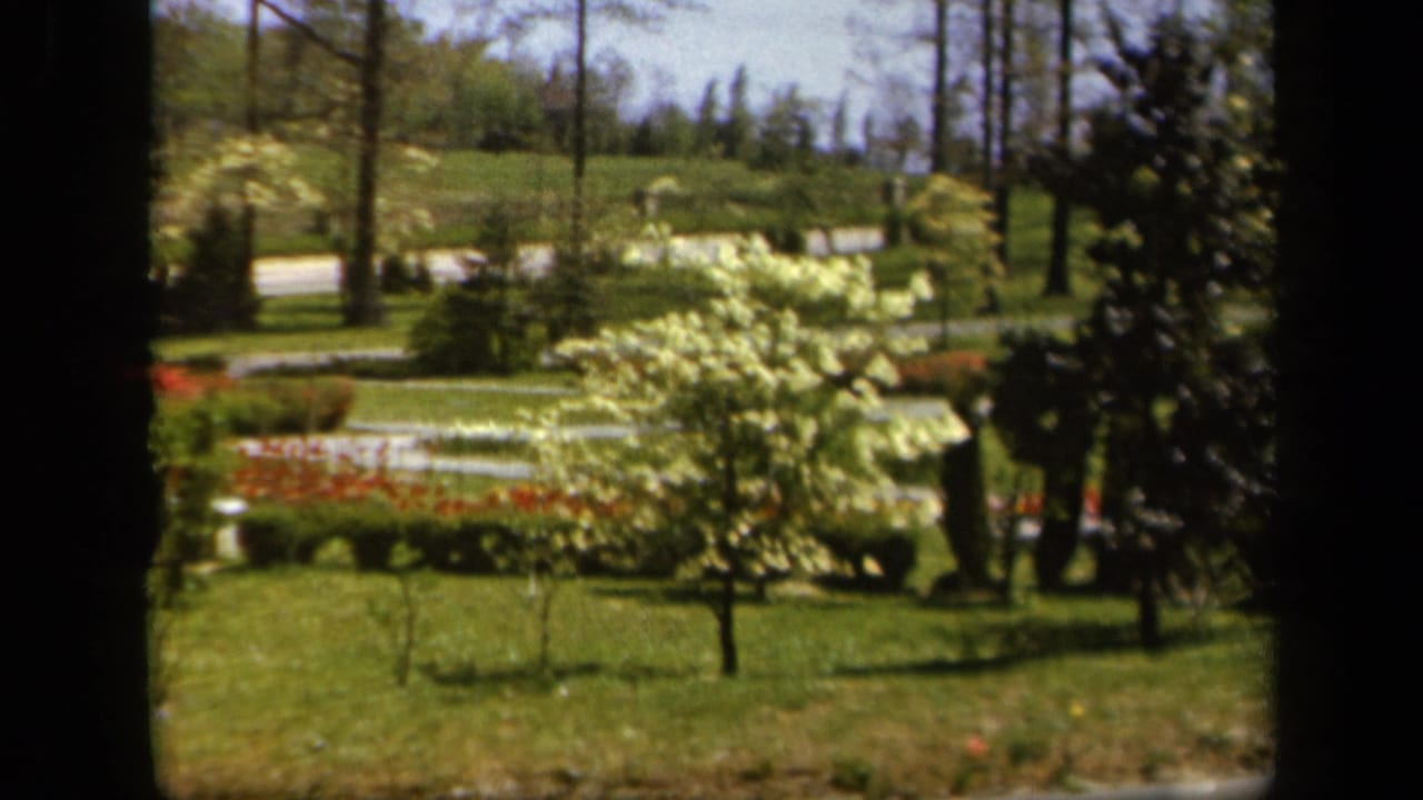 1943 Baltimore park view with lawns, paths, flowerbeds, mature trees, and a white-blossomed tree framed by dark window-like edges.