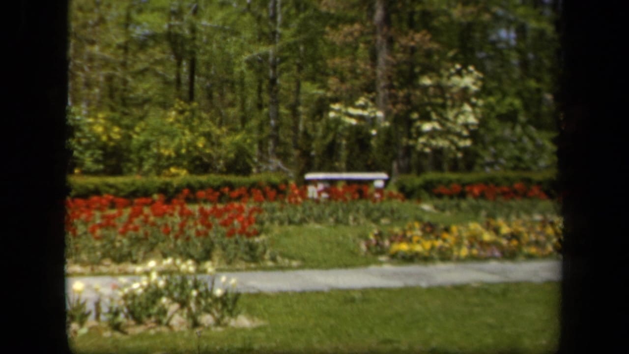 Garden path, red flower bed, yellow flowers, trees, and a stone bench.