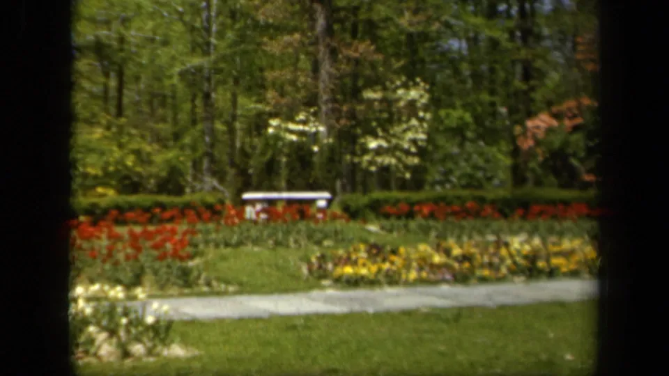 A 1943 Baltimore garden scene holds on flower beds, clipped greenery, a stone bench, and tall trees in soft 8mm color.