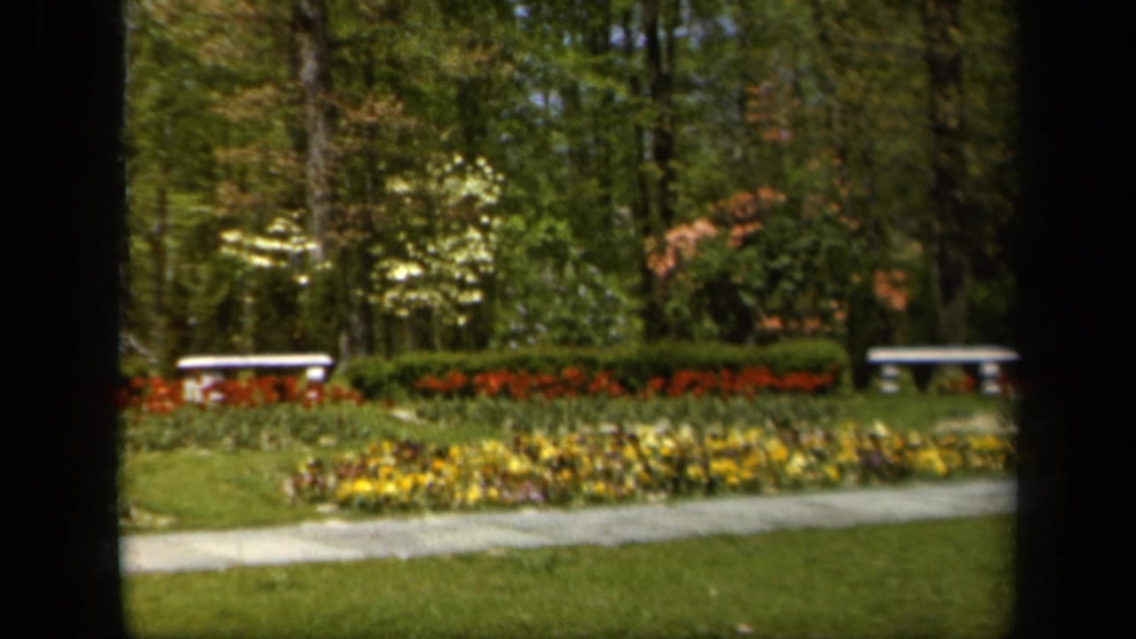1943 Baltimore 8mm frame showing red and yellow flowerbeds, green lawn, white benches, hedges, and tall trees.