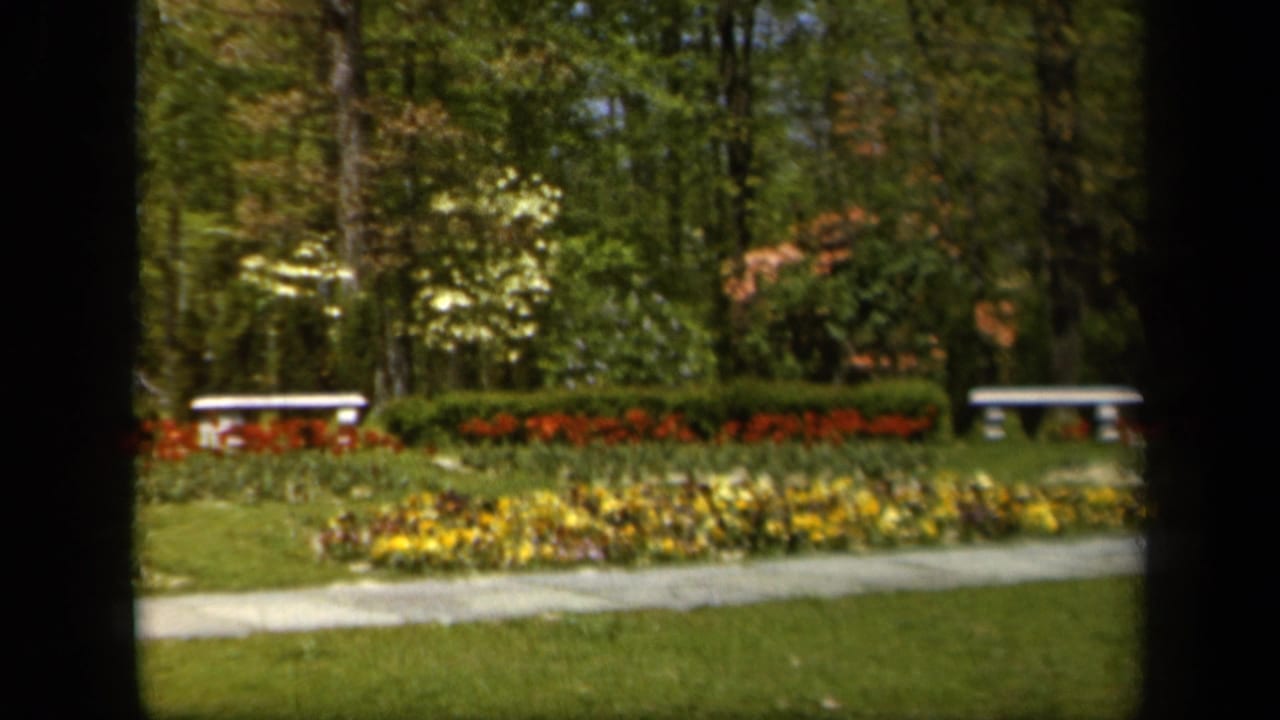 1943 Baltimore home-movie frame of colorful garden beds, a grassy lawn, hedges, white benches, and trees.