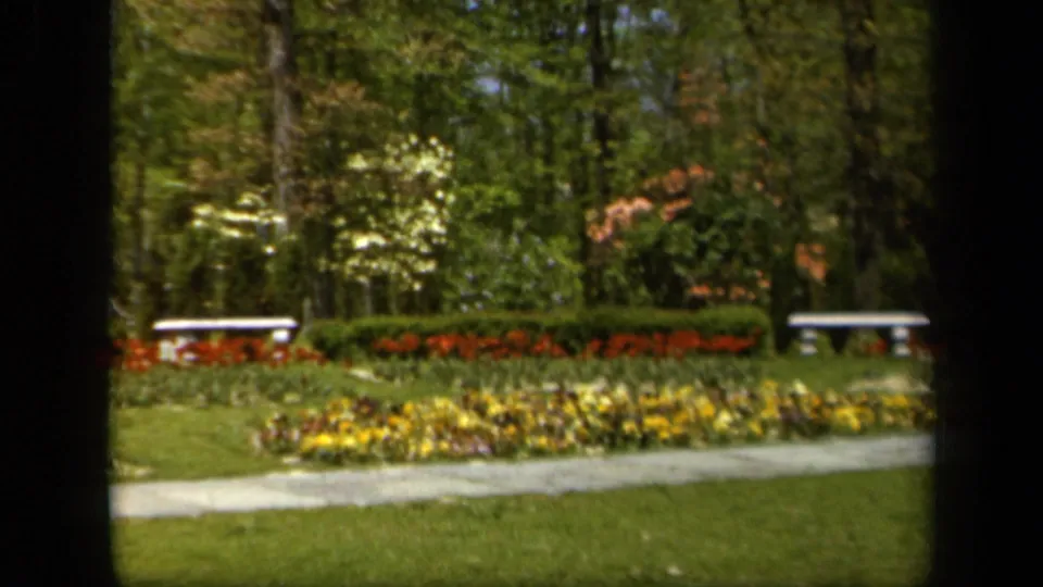 Soft 8mm view of a 1943 Baltimore garden with yellow flowers, red beds, benches, hedges, and green lawn.