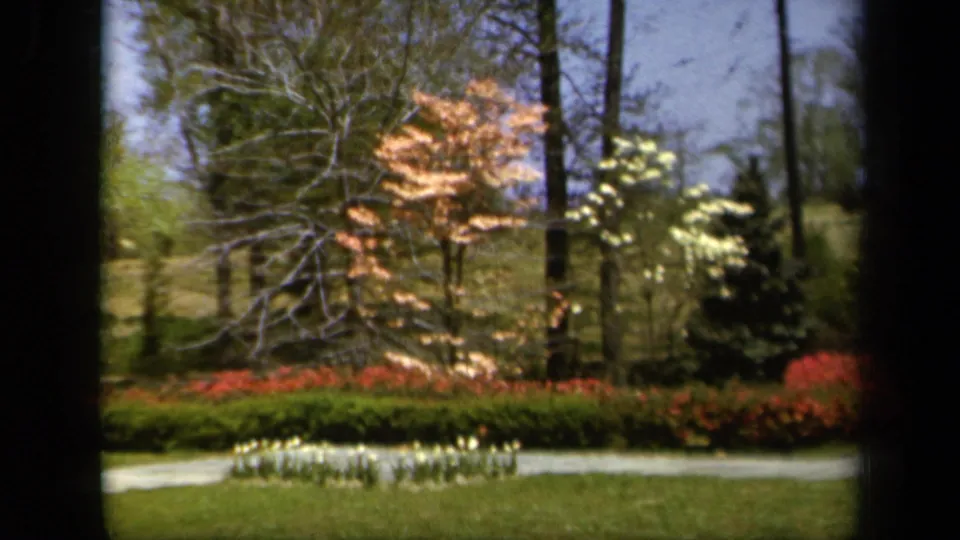 Soft 1943 Baltimore 8mm view of a spring garden, with a lawn foreground, pale path, red flowerbeds, and blooming trees in sunlight.