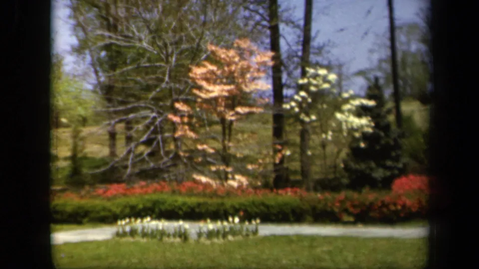 1943 Baltimore 8mm still showing a sunlit spring garden with flowering trees, red planting beds, lawn, path, and visible film-frame edges.