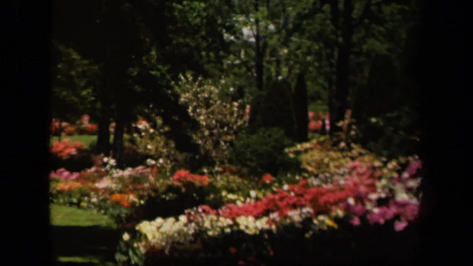 1943 Baltimore 8mm frame showing a shaded garden area with mature trees, lawn, and colorful planted beds.