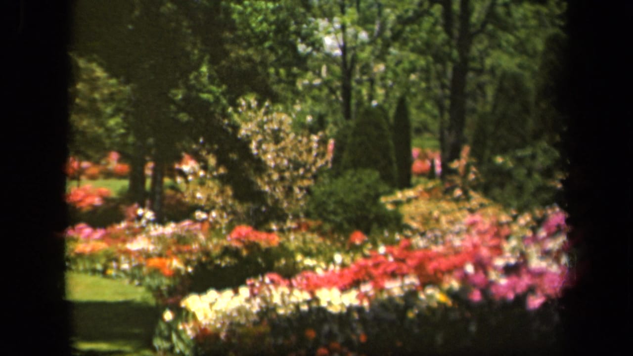 1943 Baltimore home-movie frame showing a sunlit arboretum garden with trees, clipped grass, shrubs, and colorful flower beds.