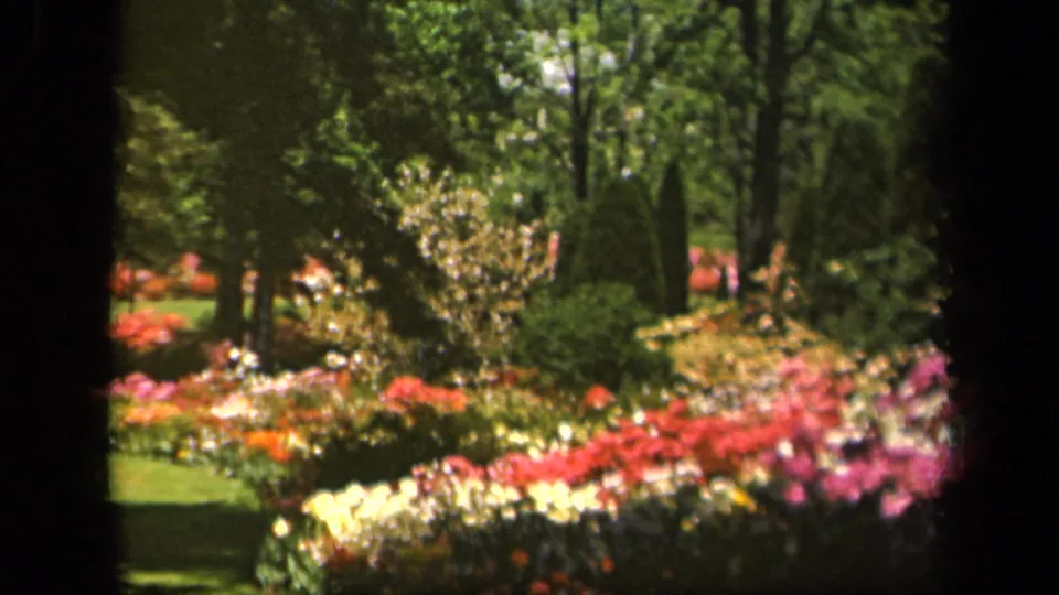 1943 Baltimore home-movie frame showing a sunlit arboretum garden with trees, clipped grass, shrubs, and colorful flower beds.