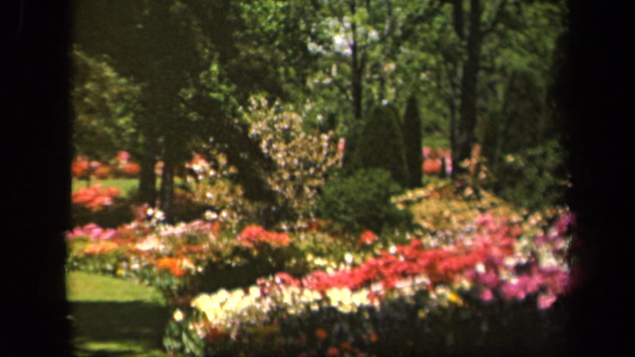 Colorful garden beds bordered by grass and trees, with dark 8mm frame edges visible.