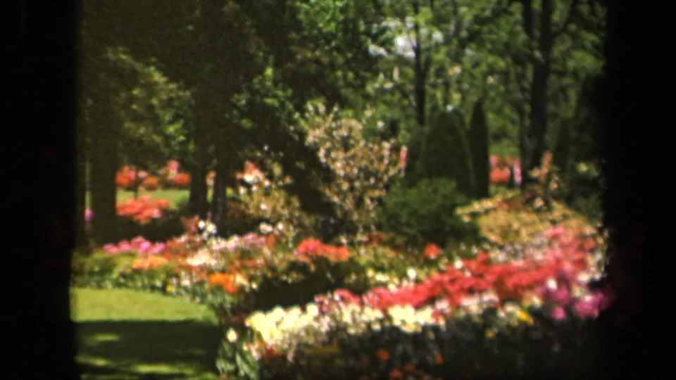 1943 Baltimore home-movie still showing a shaded garden with clipped lawn, flowering beds, shrubs, and soft 8mm color.