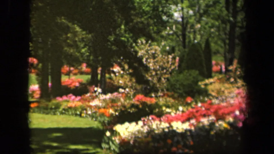 1943 Baltimore arboretum frame showing a landscaped flower garden with soft-focus 8mm texture and no visible people.