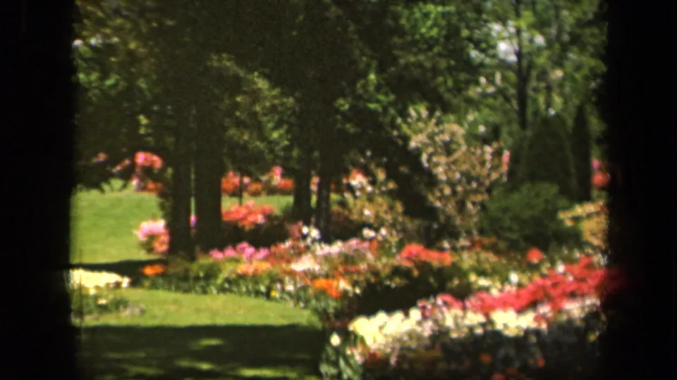 1943 Baltimore home-movie frame showing a shaded lawn bordered by colorful flower beds and mature garden trees.