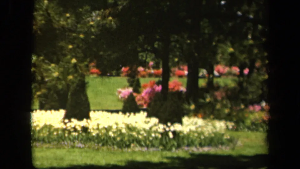 1943 Baltimore garden view with yellow flower beds, pink blossoms, trimmed shrubs, green lawn, and mature trees.