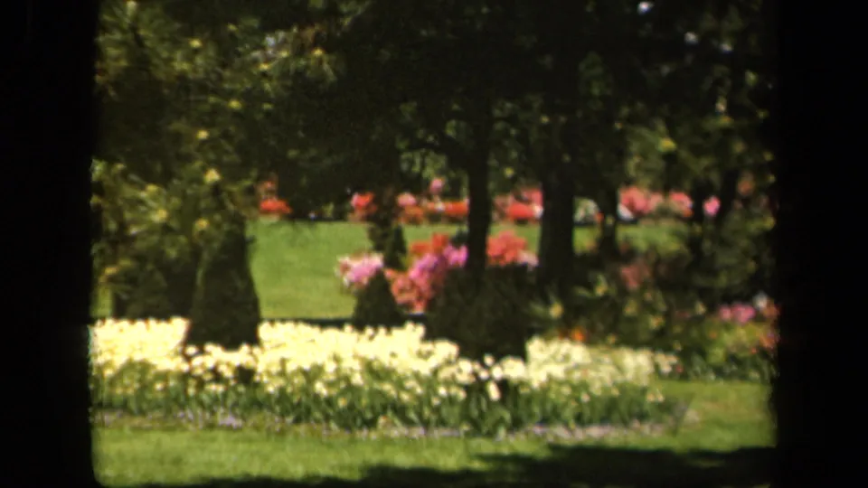 Soft 8mm frame of a 1943 Baltimore garden with yellow flower beds, pink blooms, clipped shrubs, and green grass.