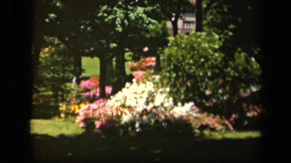 1943 Baltimore 8mm still showing a shaded garden with bright white flowers, pink beds, trees, and lawn.