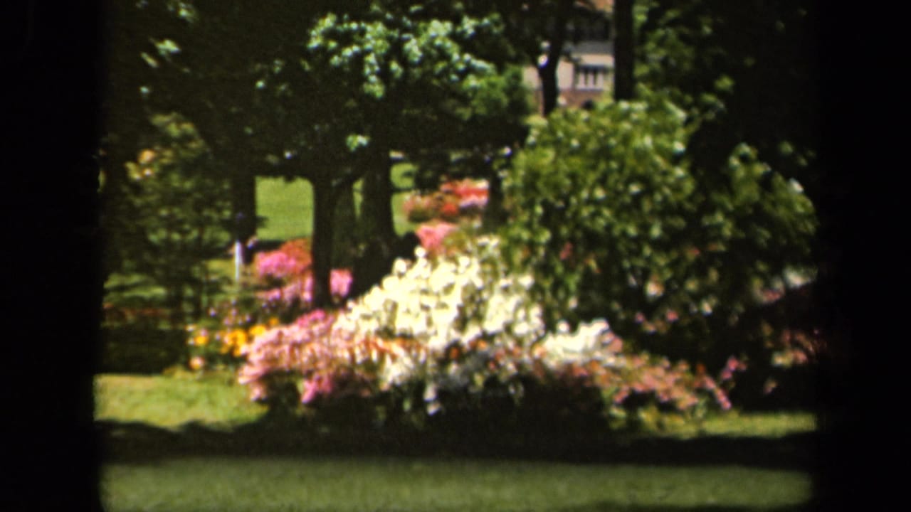 Green lawn and bright flowerbed seen through dark 8mm frame borders.