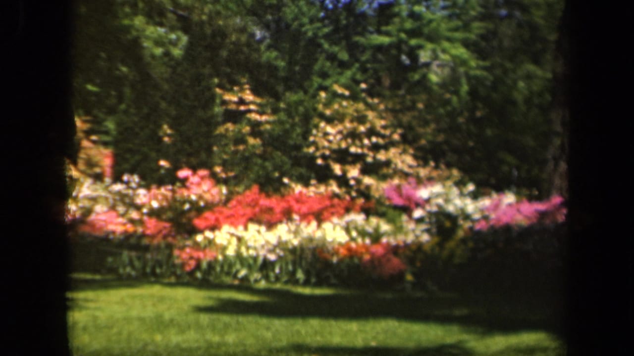 1943 Baltimore 8mm frame showing bright flower rows, green lawn, and leafy trees in a garden setting.