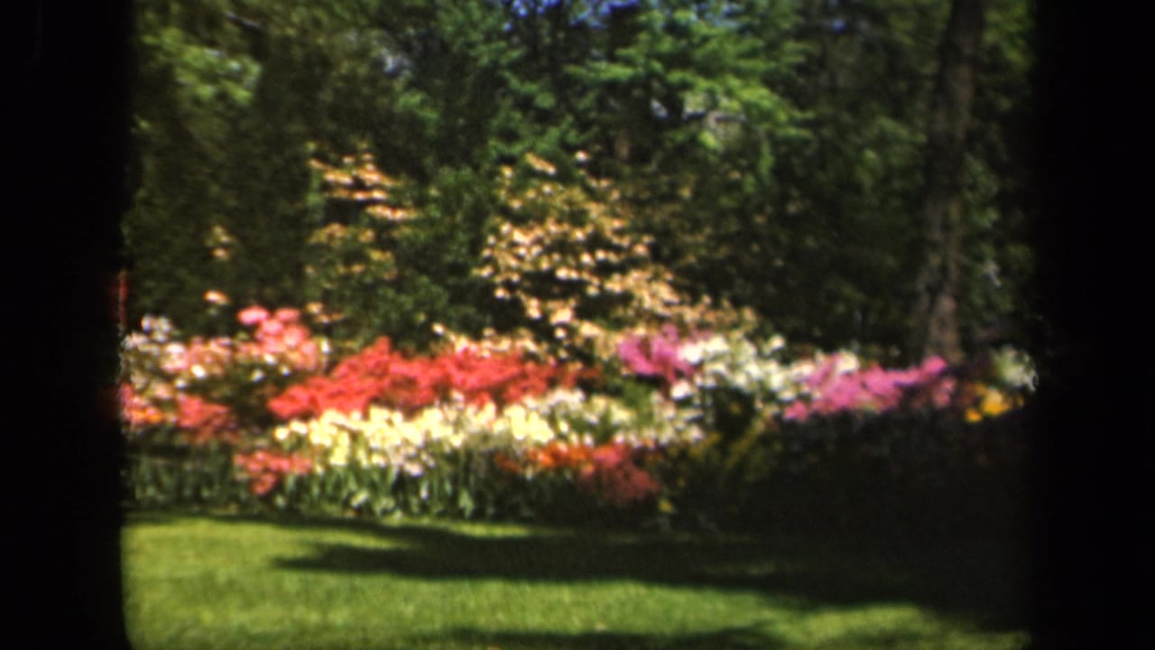 Garden flower beds with lawn and shaded trees.