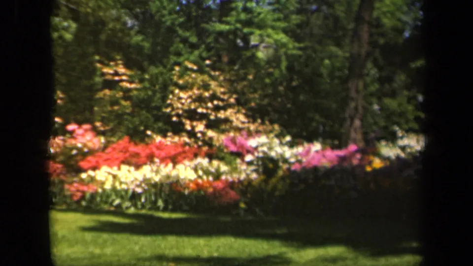 1943 Baltimore 8mm still of layered flower beds, a lawn foreground, and dense trees behind.